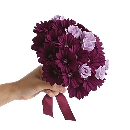 Blushing Rose Symphony