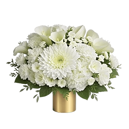 Modern White Orchids