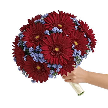 Ruby Petal Cascade