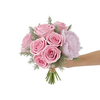 Pastel Pink Roses