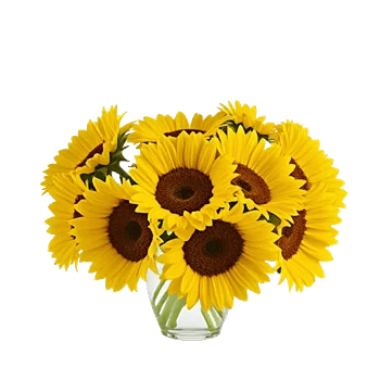 Radiant Bloom Cascade