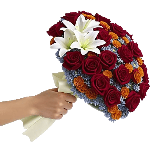 Blushing Rose Symphony