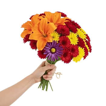 Petal Radiance Bliss