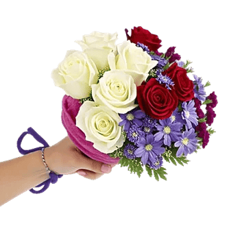 Blushing Rose Symphony