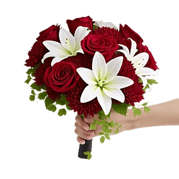 Crimson Rose Elegance