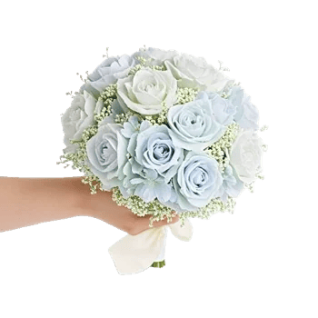 Serene Petal Harmony