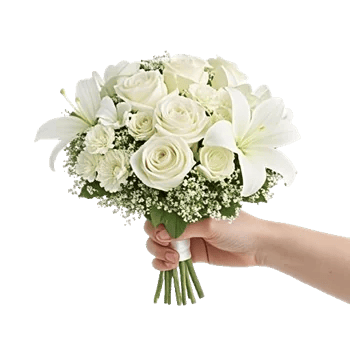 Minimalist White Orchids