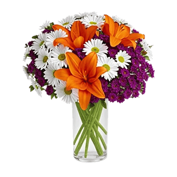 Ivory Blossom Radiance