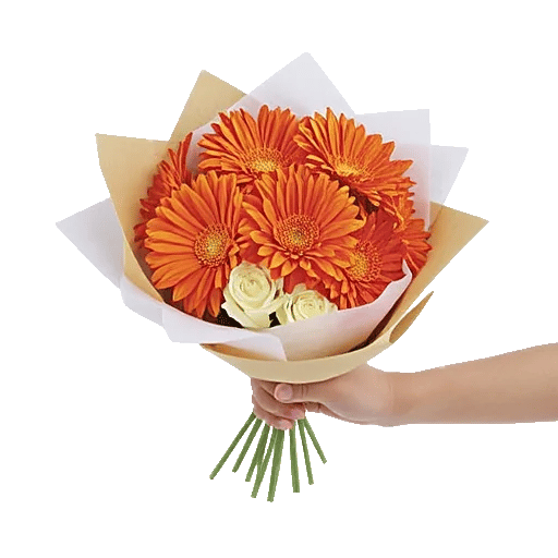 Petal Harmony Bliss
