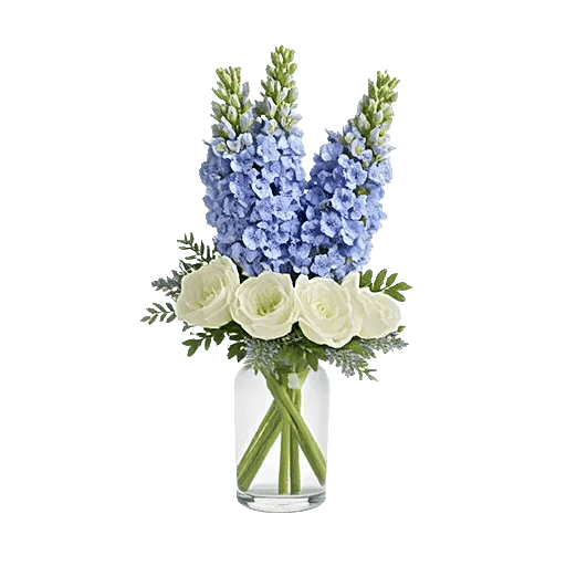 Lavender Bloom Grace