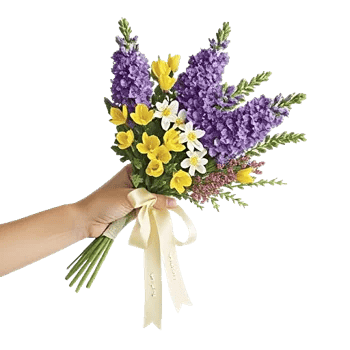 Ivory Blossom Radiance