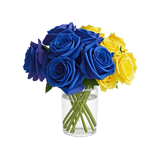 Elegant Blue Roses