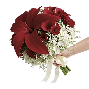 Elegant Calla Lilies