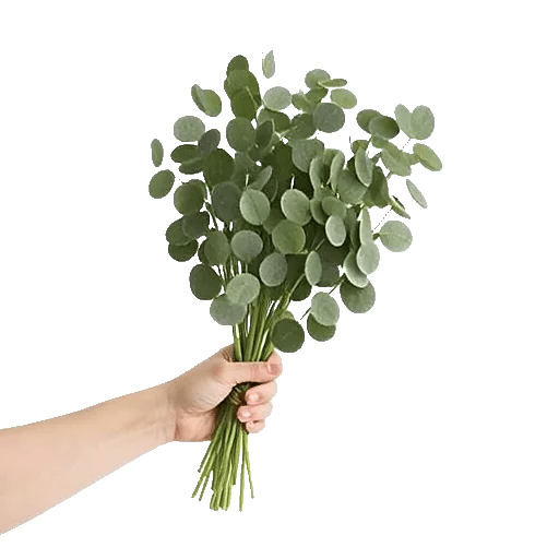 Emerald Leaf Harmony
