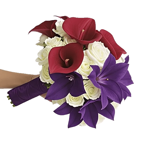 Elegant Calla Lilies