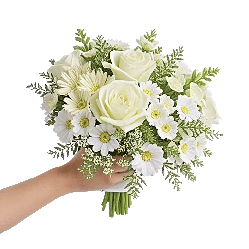 Ivory Garden Grace