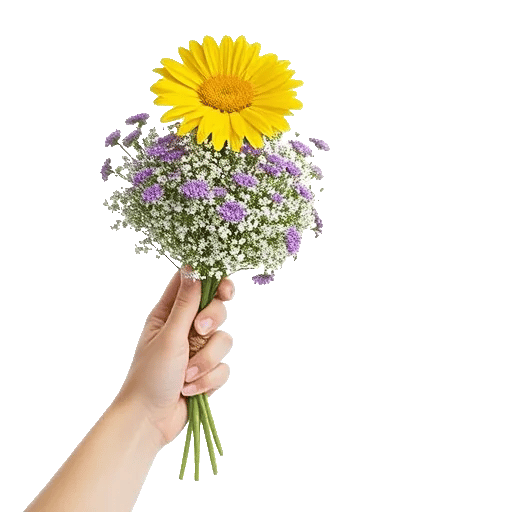 Enchanting Daisy Garden