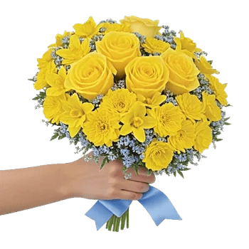 Soft Sunlight Blooms