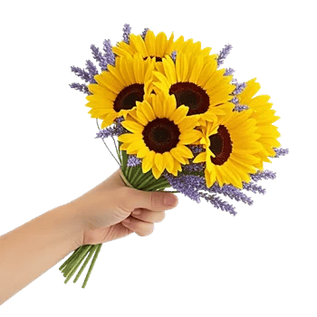 Twinkling Sunflower Dance