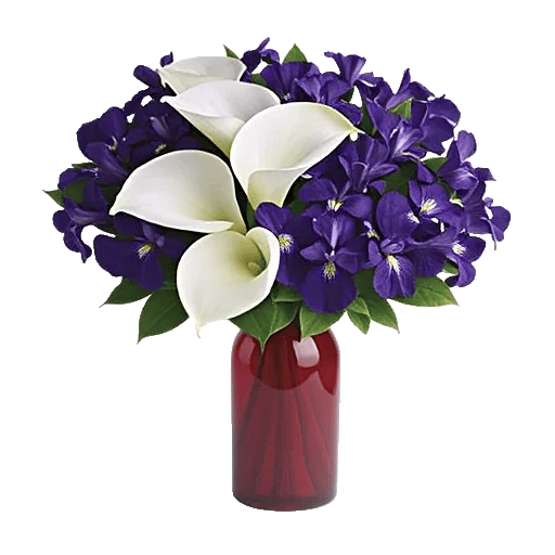 Elegant Calla Lilies