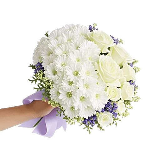 Delicate Petal Cascade