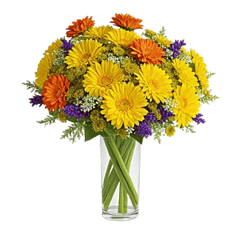 Petal Radiance Bliss