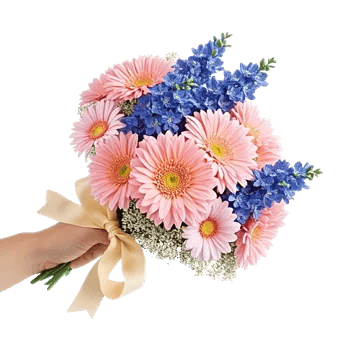 Blossom Petal Serenity