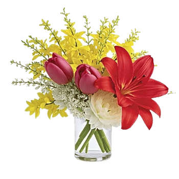 Scarlet Tulip Splendor