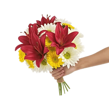 Blossom Harmony Display