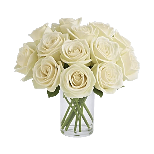 Ivory Blossom Radiance