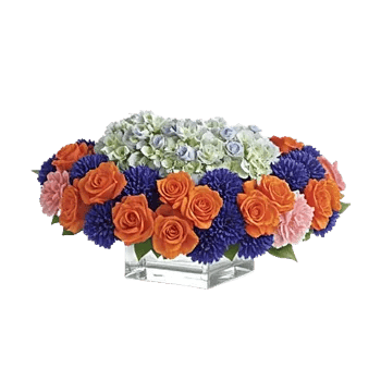 Sapphire Bloom Whisper