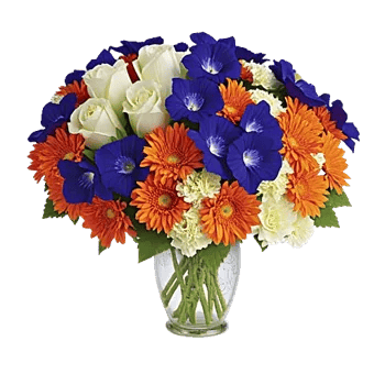 Petal Radiance Bliss
