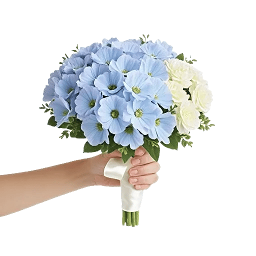 Blossom Petal Serenity