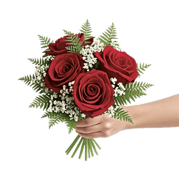 Crimson Rose Elegance