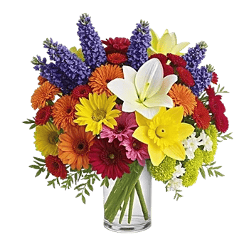 Petal Radiance Bliss