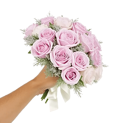 Pastel Pink Roses