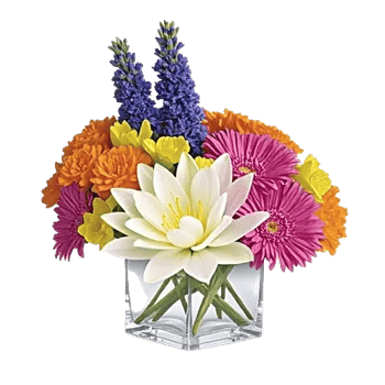 Graceful Lily Display