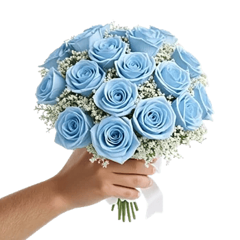 Elegant Blue Roses