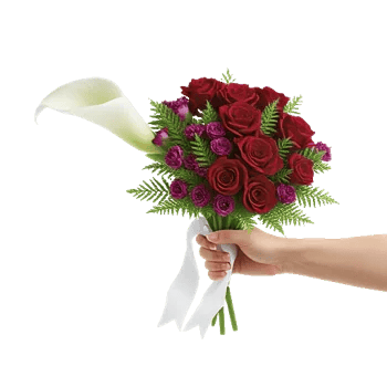 Elegant Calla Lilies