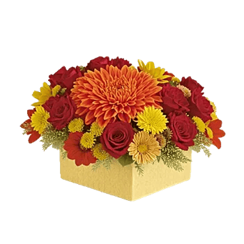 Radiant Bloom Cascade