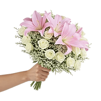 Blossom Harmony Display