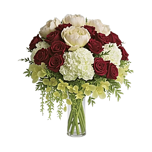 Petal Radiance Bliss