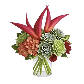 Crimson Blossom Harmony