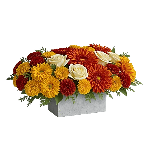 Golden Petal Harmony