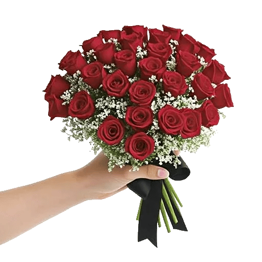 Crimson Rose Elegance