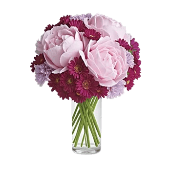 Peony Petal Harmony