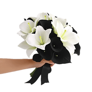 Elegant Calla Lilies