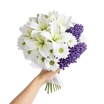 Blossom Harmony Display