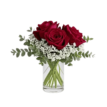 Crimson Rose Elegance
