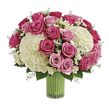 Ivory Blossom Radiance